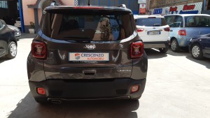 Jeep Renegade (10)
