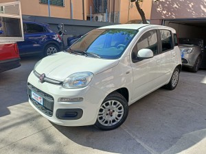 Fiat panda (1)