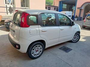 Fiat panda (7)