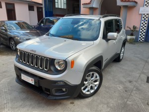 Jeep Renegade business (1)