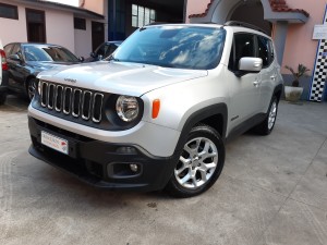Jeep Renegade business (3)