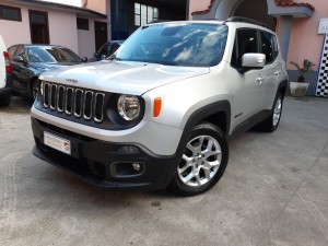Jeep Renegade business (4)