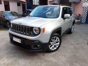 Jeep Renegade business (5)