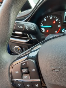 Ford Fiesta 2018 crescenzo Automobili (28)