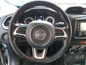 Jeep Renegade business (28)
