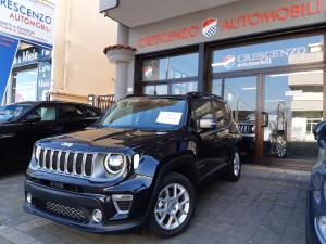 Jeep Renegade MY 2019 (1)