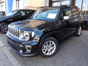 Jeep Renegade MY 2019 (2)