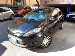 Ford Fiesta (1)