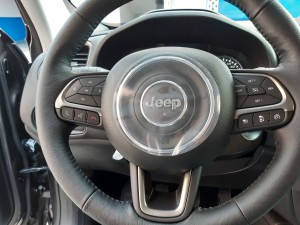 Jeep Renegade Granite Crystal crescenzo automobili (18)