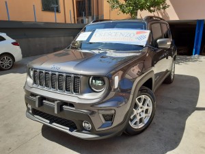 Jeep Renegade Granite Crystal crescenzo automobili (3)