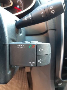 renault clio crescenzoautomobili (19)