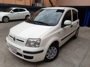 Fiat panda (1)