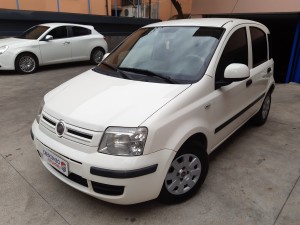 Fiat panda (2)