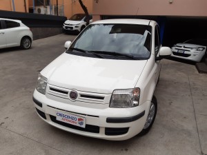 Fiat panda (3)