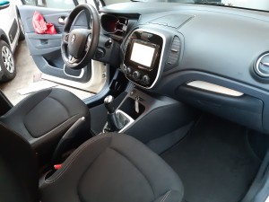 Captur (9)