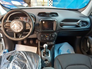 Jeep Renegade black line (15)