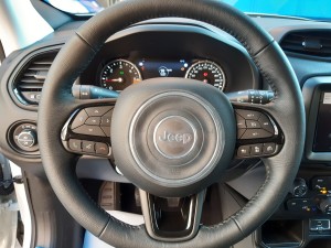 Jeep Renegade black line (22)