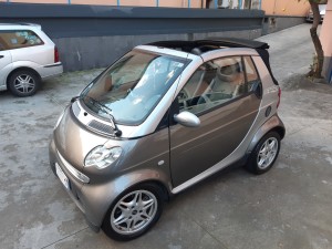 Smart fotwo cabrio (9)
