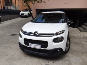 Citroen C3 Shine (4)