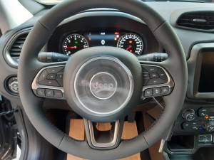 Jeep Renegade Sting Grey (12)