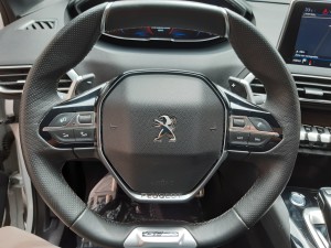 Peugeot 3008 GT LINE crescenzo automobili (19)