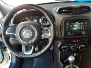 Jeep Renegade business crescenzo automobili (13)