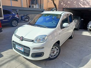 Fiat panda (2)