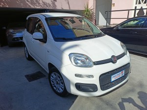 Fiat panda (3)