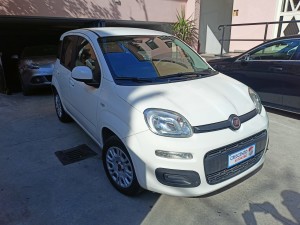 Fiat panda (4)