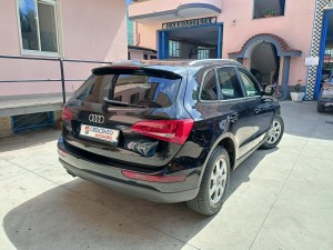 Audi Q5 crescenzoautomobili (9)