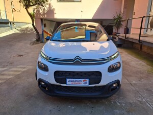 Citroen C3 bluehdi (6)